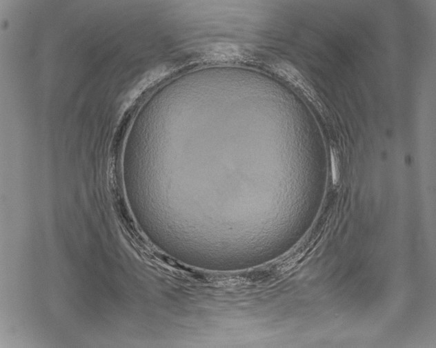 X0000069390579200605150945