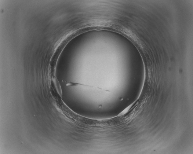 X0000069390580200605150945