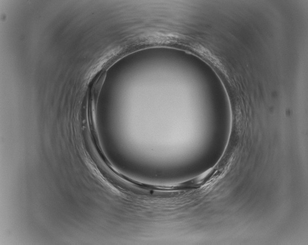 X0000069390581200605150945