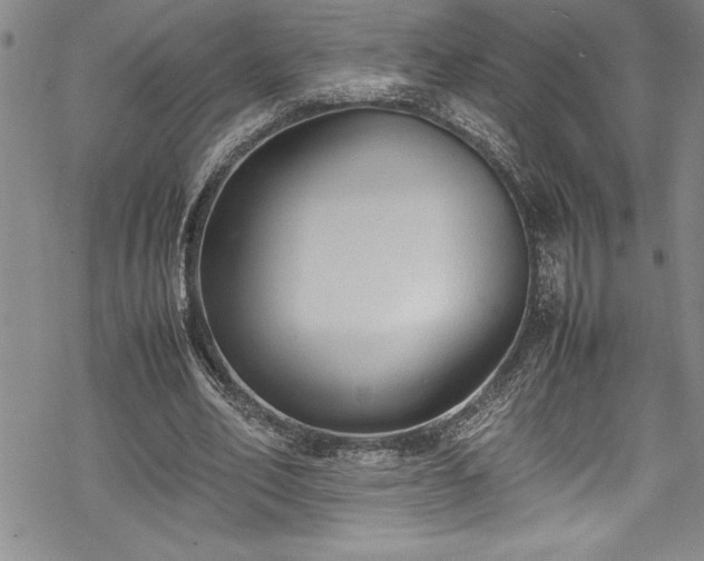 X0000069390582200605150945