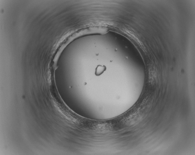 X0000069390584200605150945