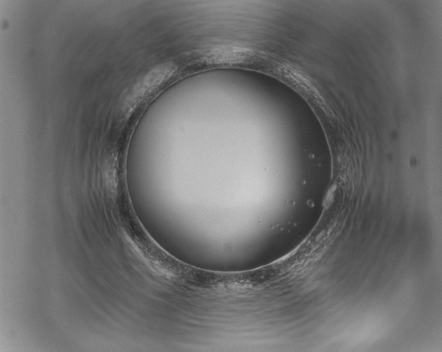 X0000069390586200605150945