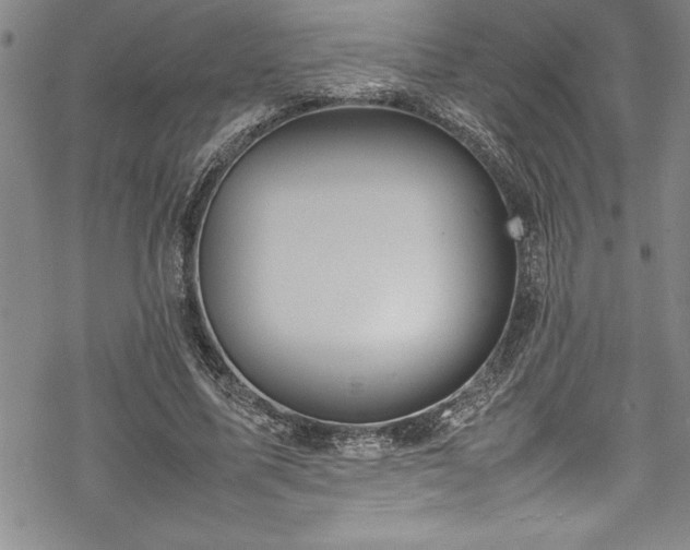 X0000069390587200605150945