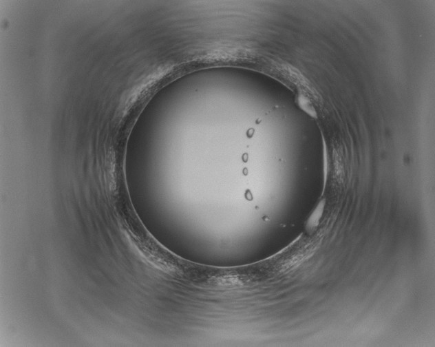 X0000069390588200605150945