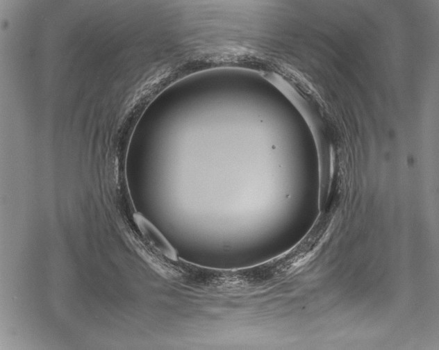 X0000069390589200605150945