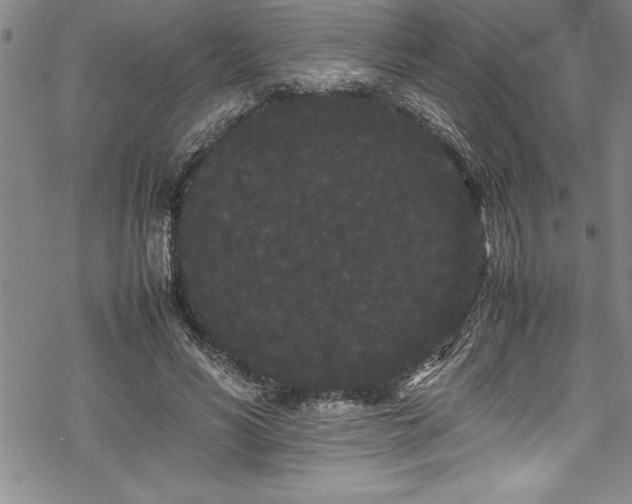 X0000069390590200605150945