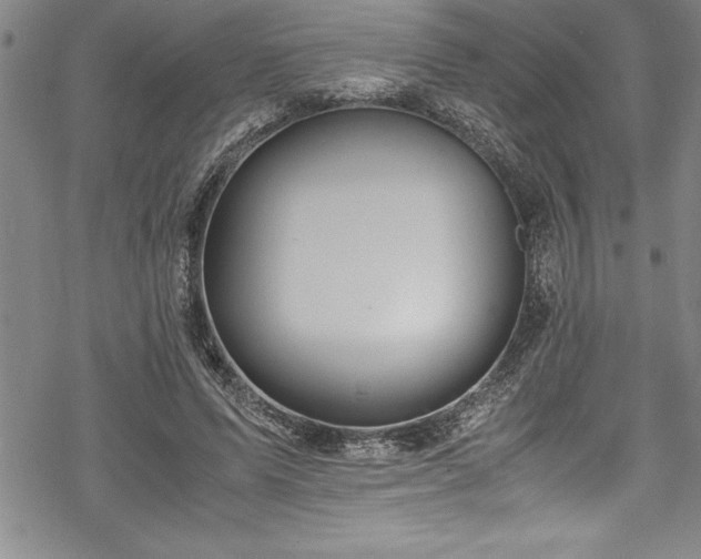 X0000069390591200605150945