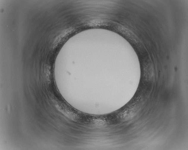 X0000069390592200605150945