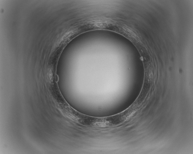 X0000069390595200605150945