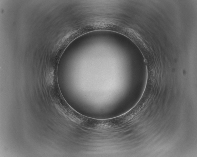 X0000069390596200605150945