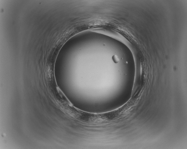 X0000069390597200605150945