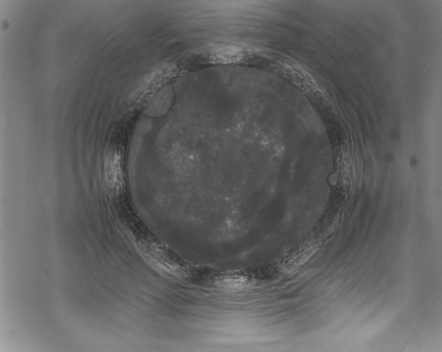 X0000069390598200605150945