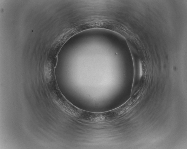 X0000069390600200605150945