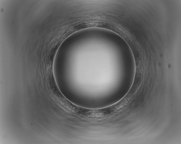 X0000069390601200605150945