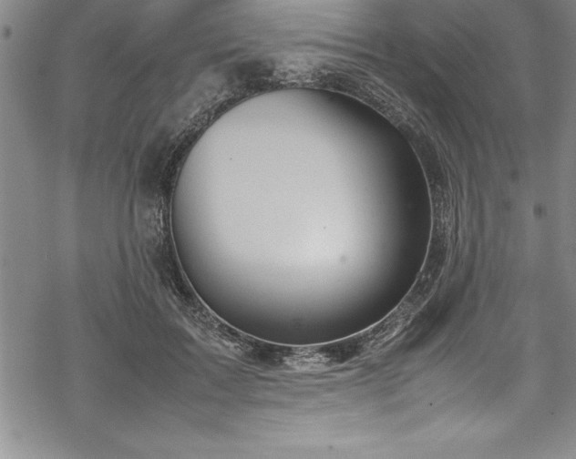 X0000069390603200605150945