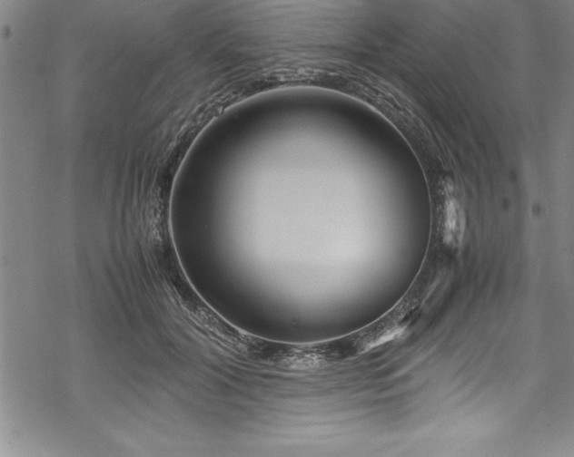 X0000069390604200605150945