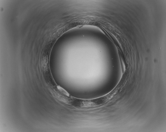 X0000069390605200605150945