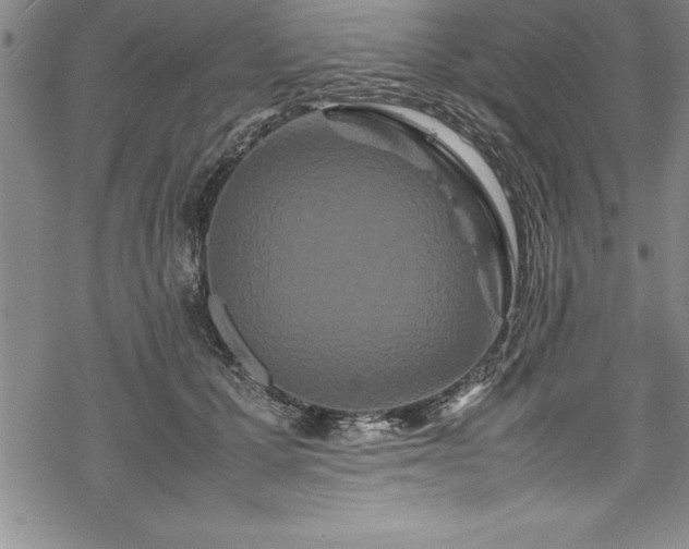 X0000069390607200605150945