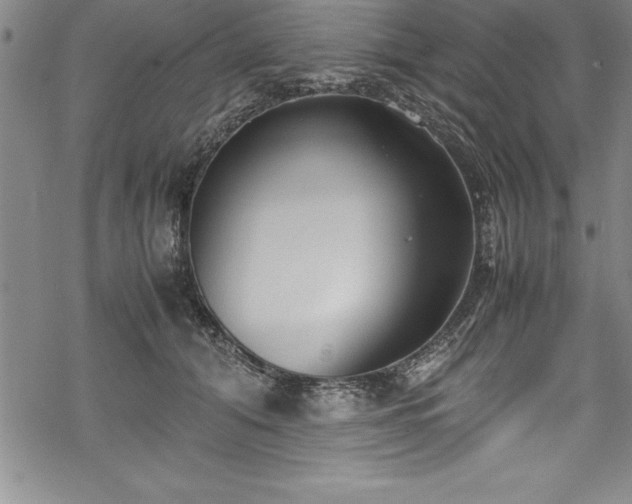 X0000069390608200605150945