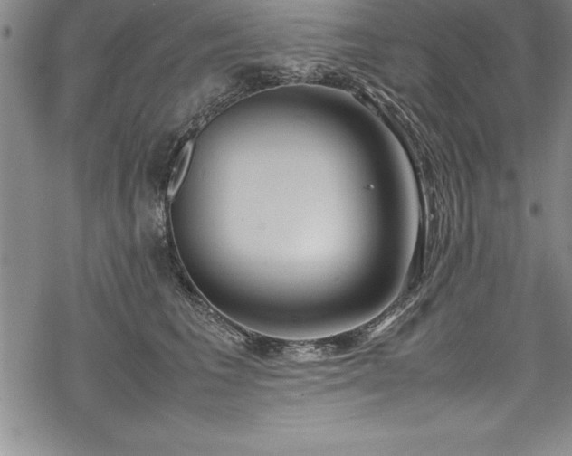 X0000069390613200605150945