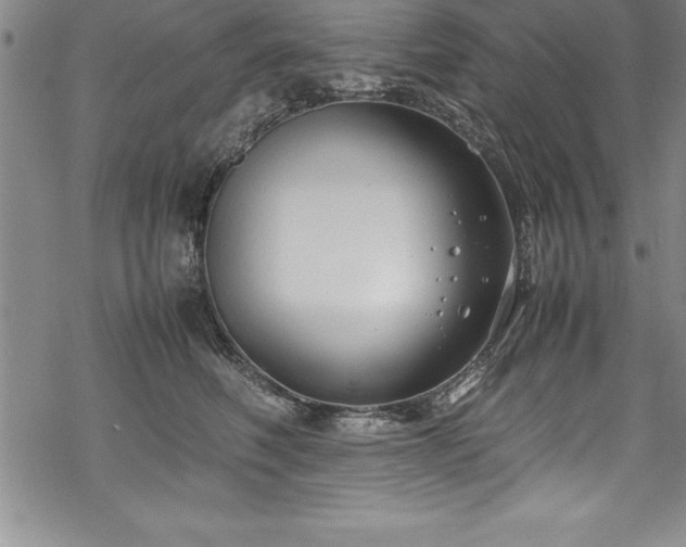 X0000069390614200605150945