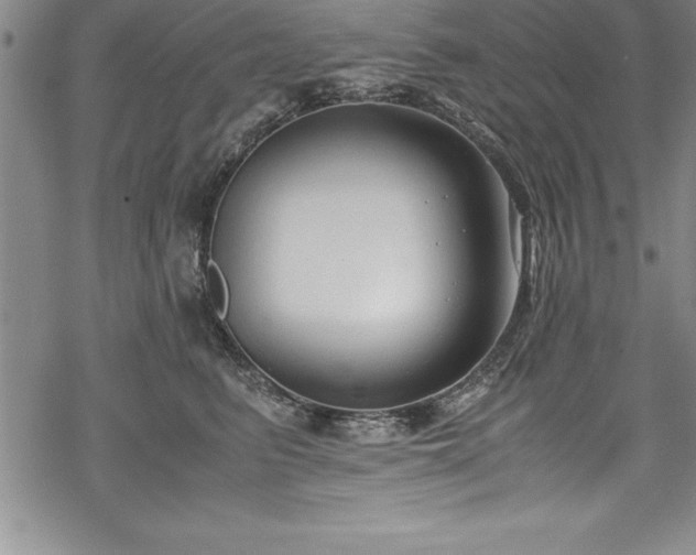 X0000069390615200605150945