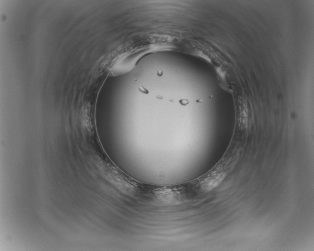 X0000069390616200605150945