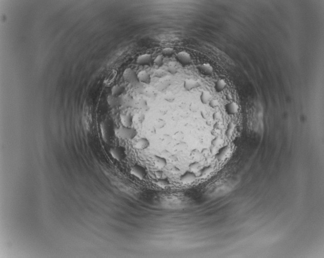 X0000069390618200605150945