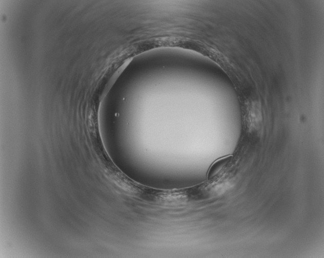 X0000069390619200605150945