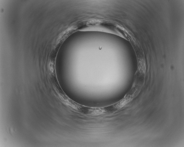 X0000069390621200605150945