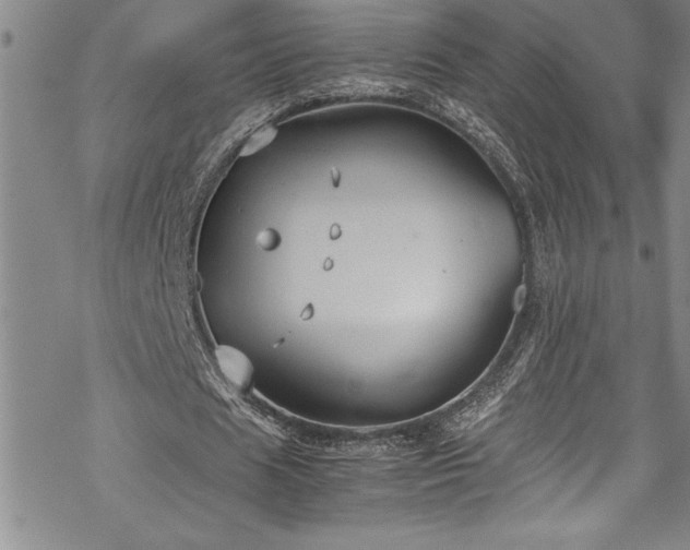 X0000069390625200605150944