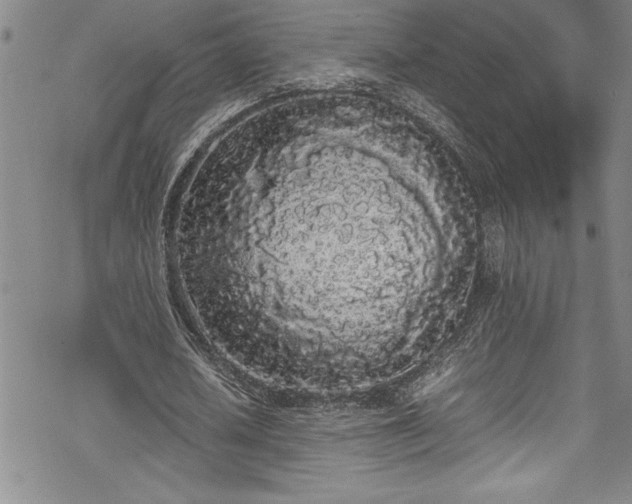 X0000069390626200605150944