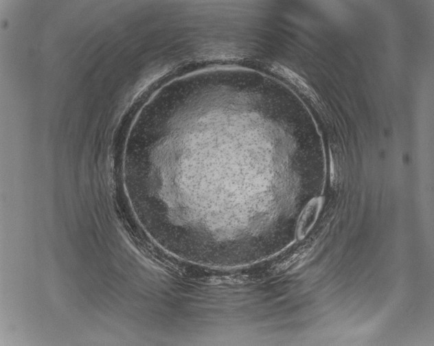 X0000069390627200605150944