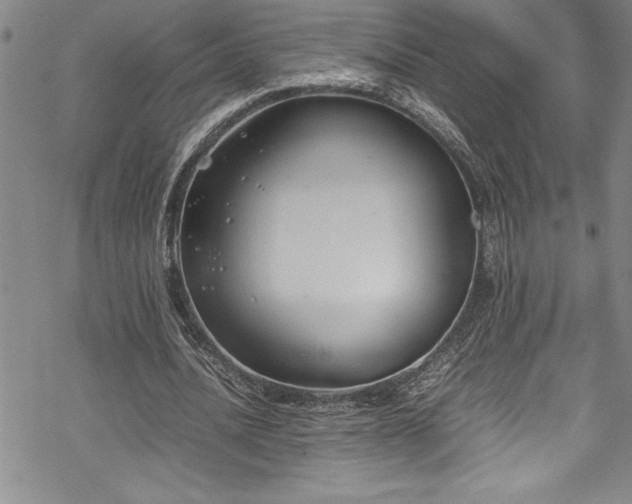 X0000069390628200605150944