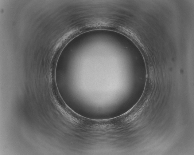 X0000069390629200605150944