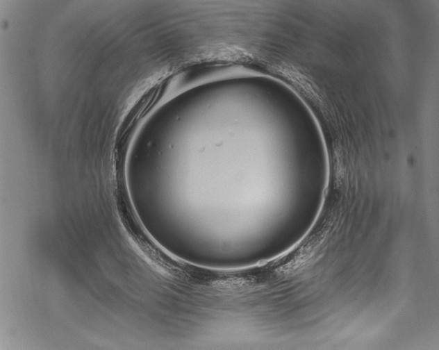 X0000069390630200605150944