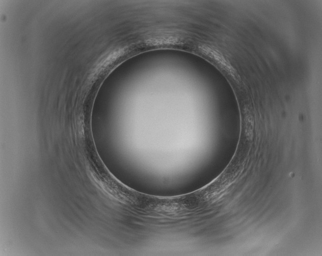 X0000069390631200605150944