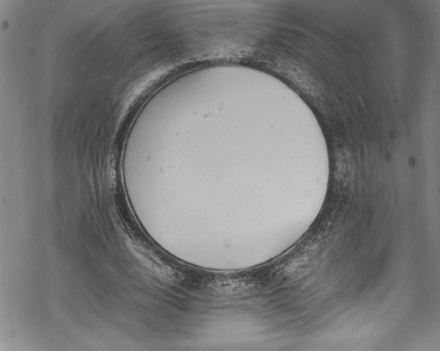 X0000069390632200605150944