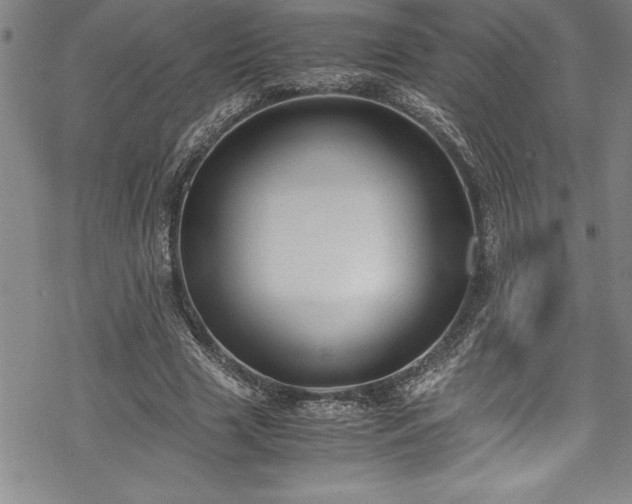 X0000069390633200605150944