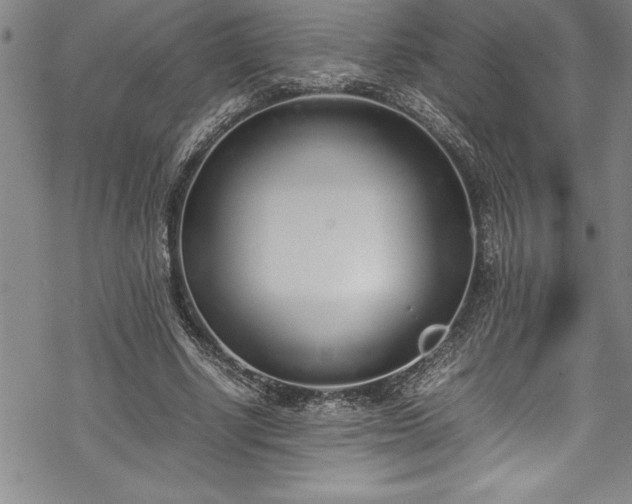 X0000069390634200605150944