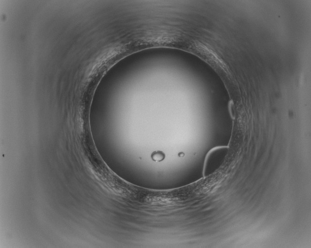 X0000069390635200605150944