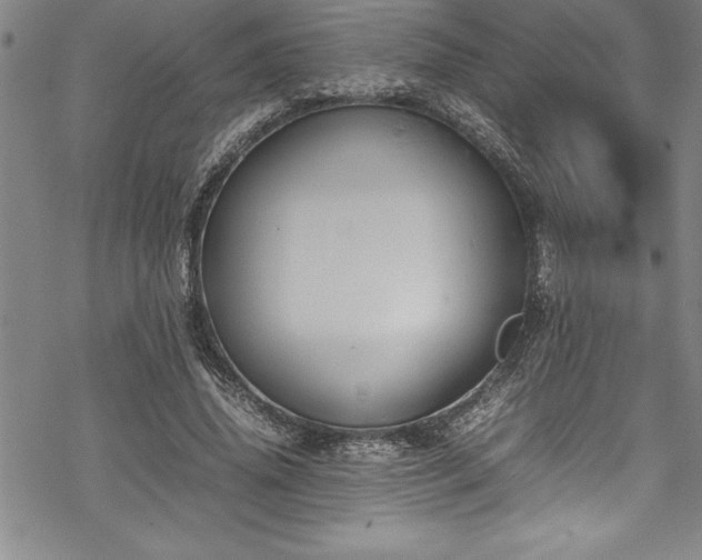 X0000069390636200605150944