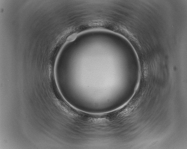 X0000069390637200605150944