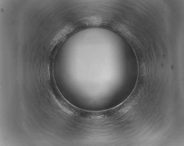 X0000069390638200605150944