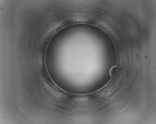 X0000069390639200605150944