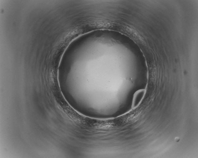 X0000069390643200605150944