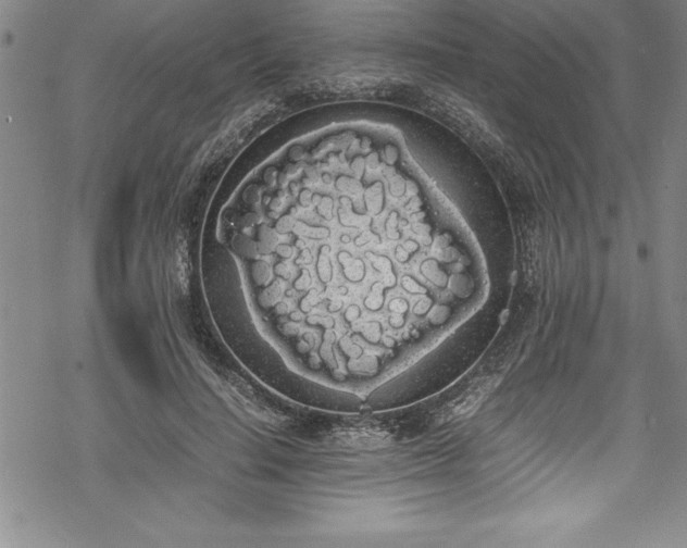 X0000069390644200605150944