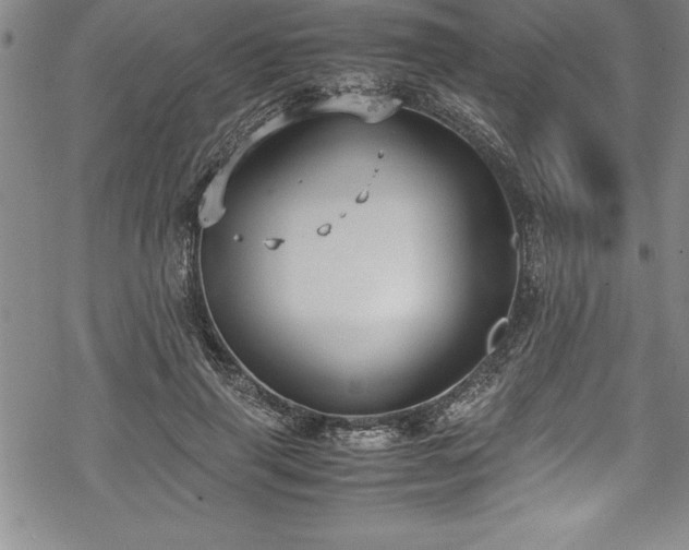 X0000069390645200605150944