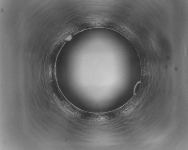 X0000069390646200605150944