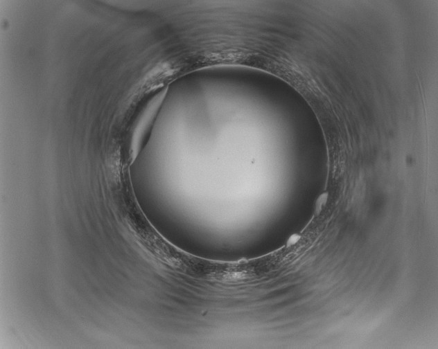 X0000069390647200605150944